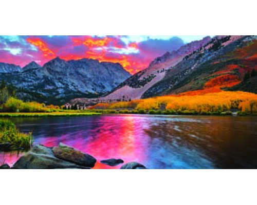 Desk Calendar DC36